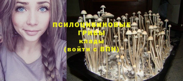 прущая мука Липки