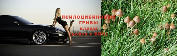 скорость Кукмор