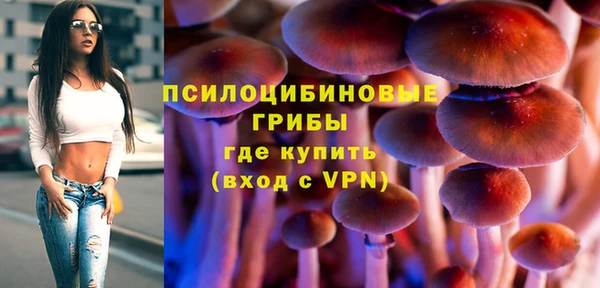 скорость Кукмор